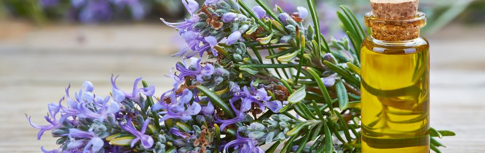 Rosemary Dried Leaves - Hair Growth - Herbal Tea